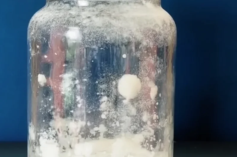 Snowstorm in a Jar Experiment: A Fun DIY Recipe